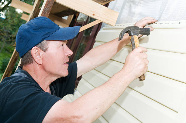 Best Fiber Cement Siding Installation  in Remsen, IA