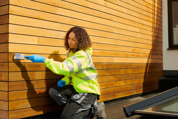 Best Storm Damage Siding Repair  in Remsen, IA