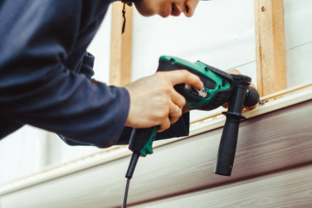 Best Custom Trim and Detailing for Siding  in Remsen, IA